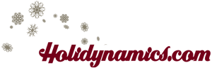 Holidynamics snow flake logo