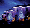 Picture of LED Glacier Artisticks Roofline Decor