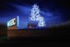 Picture of 13' Commercial LED Cherry Blossom Tree - Pure White & Blue