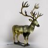 Picture of Lantern Buck 72"