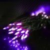 Picture of T5 50L 4" Spacing LED Purple Gr Cord