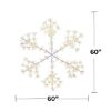 Picture of LED Sparkler Snowflake Classic White w/White Metal Frame 60"