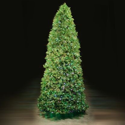 Picture of 10' Dynamic RGBWW LED Noble Fir - Slender