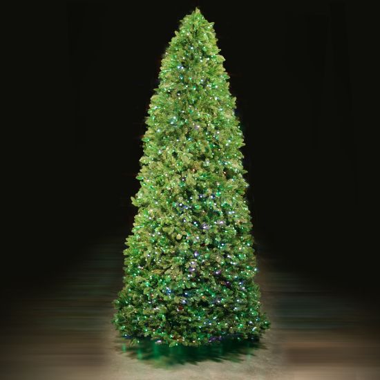 Picture of 10' Dynamic RGBWW LED Noble Fir - Slender