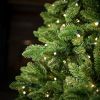 Picture of 10' Dynamic RGBWW LED Noble Fir - Slender