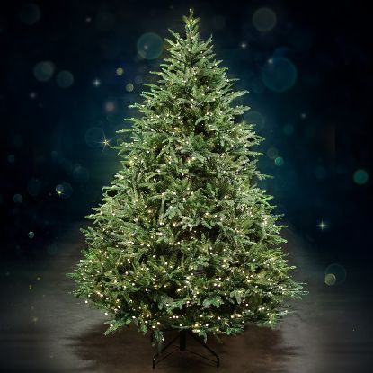 Picture of 7.5' Dynamic RGBWW LED Fraser Fir Tree - Full