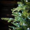 Picture of 7.5' Dynamic RGBWW LED Fraser Fir Tree - Full