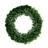 Picture of 60" Oregon Wreath  Warm White 