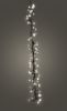 Picture of Commercial Cluster Light Drop - 48" CW, Black Cord