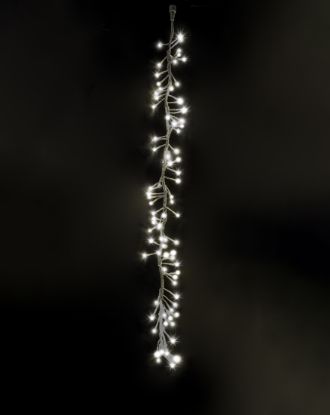 Picture of Commercial Cluster Drops - 48" CW Lights, White Cord