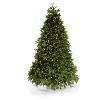 Picture of Dynamic Greenery RGB LED Noble Tree Full  7.5'