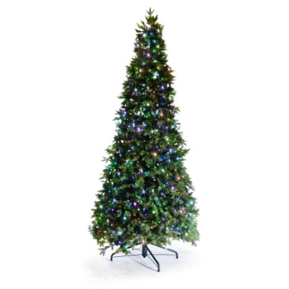 Picture of Dynamic Greenery RGB LED Noble Fir Slender 10'