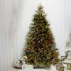 Picture of Dynamic Greenery RGB LED Fraser Fir Tree Full 9'