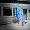 Picture of 6' Dynamic RGB LED Winter Bark Tree 