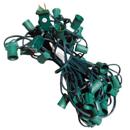 Picture of 50' Cord-C9 Bulk 12" Spacing w/Sockets SPT-1, Green