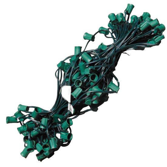 Picture of 100' Cord-C9 Bulk 12" Spacing w/Sockets SPT-1, Green