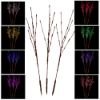 Picture of Dynamic RGB Twig Branches Set of 3