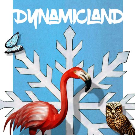 Picture for category Dynamicland