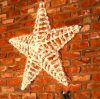 Picture of Star 5-Point Classic White LED 36" 3D