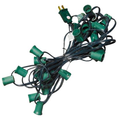 Picture of 25' Cord C9 Bulk 15" Spacing w/Sockets 25' SPT-1, Green